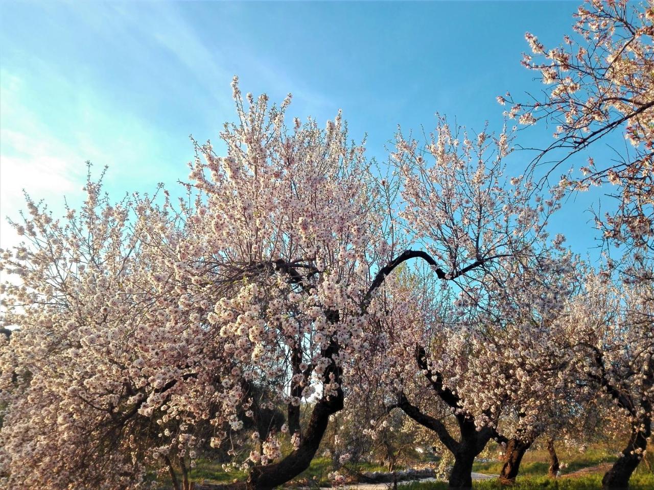 칼피노 Torre Bruno 빌라 외부 사진